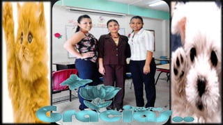 Carta de solicitud de empleo 