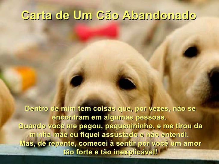 Carta de um cão abandonado