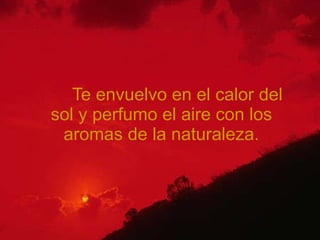 Te envuelvo en el calor del sol y perfumo el aire con los aromas de la naturaleza. 