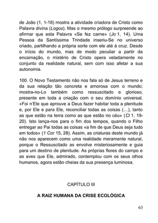 de João (1, 1-18) mostra a atividade criadora de Cristo como
Palavra divina (Logos). Mas o mesmo prólogo surpreende ao
afirmar que esta Palavra «Se fez carne» (Jo 1, 14). Uma
Pessoa da Santíssima Trindade inseriu-Se no universo
criado, partilhando a própria sorte com ele até à cruz. Desde
o início do mundo, mas de modo peculiar a partir da
encarnação, o mistério de Cristo opera veladamente no
conjunto da realidade natural, sem com isso afetar a sua
autonomia.
100. O Novo Testamento não nos fala só de Jesus terreno e
da sua relação tão concreta e amorosa com o mundo;
mostra-no-Lo também como ressuscitado e glorioso,
presente em toda a criação com o seu domínio universal.
«Foi n’Ele que aprouve a Deus fazer habitar toda a plenitude
e, por Ele e para Ele, reconciliar todas as coisas (…), tanto
as que estão na terra como as que estão no céu» (Cl 1, 19-
20). Isto lança-nos para o fim dos tempos, quando o Filho
entregar ao Pai todas as coisas «a fim de que Deus seja tudo
em todos» (1 Cor 15, 28). Assim, as criaturas deste mundo já
não nos aparecem como uma realidade meramente natural,
porque o Ressuscitado as envolve misteriosamente e guia
para um destino de plenitude. As próprias flores do campo e
as aves que Ele, admirado, contemplou com os seus olhos
humanos, agora estão cheias da sua presença luminosa.
CAPÍTULO III
A RAIZ HUMANA DA CRISE ECOLÓGICA
63
 