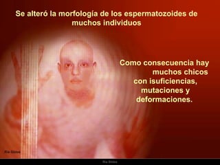 Se alteró la morfología de los espermatozoides de muchos individuos Como consecuencia hay  muchos chicos con isuficiencias, mutaciones y deformaciones.  