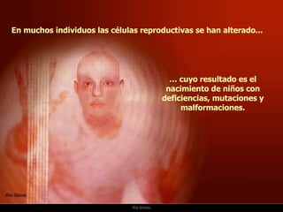 Ria Slides En muchos individuos las células reproductivas se han alterado... …  cuyo resultado es el nacimiento de niños con deficiencias, mutaciones y malformaciones. 