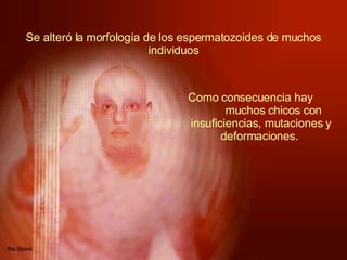Se alteró la morfología de los espermatozoides de muchos individuos Como consecuencia hay  muchos chicos con insuficiencias, mutaciones y deformaciones.  