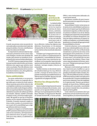 Informe Especial
42
13 conferencia Agri benchmark
Cuando una persona come una porción de
carneadecuada,nonecesitacomernadamás
porquelosatisface.Conesto,contribuimosa
reducirlosíndicesdeobesidad.
Esimportantelaunióndetodaslasorga-
nizaciones promotoras de las carnes rojas
comoFedeganymuchasotrasalrededordel
mundo,paramostrarsus beneficiosylaim-
portanciadelacarneenladietaalimentaria.
Enel2015tenemosnegociacionesclimá-
ticasquesucedentodoslosaños,porlotanto,
debemos estar seguros que nuestras voces
serán escuchadas. Para ello debemos estar
alladodelosrepresentantesdelossectores:
deproductoslácteos,aves,delosgobiernos,
laacademiaylainvestigación.
Guías ambientales
Las guías ambientales es un proyecto
de tres años y vamos en el segundo año, lo
que indica que en menos de un año vamos a
ofrecerasesoríasacercadelosciclosdevida
anivelglobalytendremosrecomendaciones
sobrecómosedebemedirelimpactoambien-
talenunesquemaproductivo.Estasguíasre-
saltaránlossecuestrosdecarbonoquedeben
ser incluidos. Además, también contempla
elimpactosocial,yelniveldeempleosgene-
rados. Me agrada ver que hay un beneficio
positivo con los sistemas silvopastoriles en
Colombia. Si pueden mantener empleo en
áreas rurales, ayudan a la economía local,
eso es parte de la sostenibilidad que es algo
quedebemosinformaralmundo.
Respecto al impacto en la biodiversidad
elSSPisuministrainformaciónacercadelos
ciclos de los nutrientes y del mejoramiento
de la salud de la tierra, los gases y el agua.
Todo eso es muy valioso y se administra de
buenaforma.
Buenas
prácticas de
manufactura
Laindustriadebe
tener una visión glo-
bal de las mejores
prácticas de manu-
factura, y asimismo,
adoptar los sistemas
de producción te-
niendoencuentaque
no hay una solución
única para todo el
mundo. Cada siste-
ma es diferente e incluso hay algunos muy
diferentes. Encontramos en los sistemas
silvopastoriles de diversos países, que bajo
varioscriteriossehanencontradosoluciones
locales.
Considero que la integración de los esla-
bones de la cadena es fundamental para la
consolidación y sostenibilidad del sistema.
En Europa existen unas experiencias ma-
ravillosas con los pequeños supermercados
quienesestánhaciendounmanejodiferente,
mediante mensajes simples y directos al
consumidor.
También tenemos un documento acerca
de la biodiversidad que fue muy difícil de
escribir y manejar de forma teórica y los
grandesremanentesquetambiénhicieronun
informeaquíenColombia-figuranenlaweb
eigualmenteenlapáginadelaFAO-.
Mostrar los silvopastoriles
al mundo
Quieroresaltarlaimportanciademostrar
lossistemassilvopastorilesalmundo, como
sucedió con la Agenda Global en Cali en
2014 que tuvo la participación de la FAO, el
Banco Mundial, la Organización Mundial
de Sanidad Animal-OIE, el sector privado,
ONGs y otras instituciones dedicadas a la
conservaciónnatural.
Igualmente considero de gran trascen-
denciamencionartresaspectosenlosquees
necesarioavanzar:
Sostenibilidad: Existen varias tareas en
elcaminodelasostenibilidad,la primera es
ladecerrarelespacioquehaydedeficiencia
nutricional,lasegunda,serefierealasmejo-
res prácticas mediante el uso de las últimas
tecnologíasparamejorarlaszonaspastoriles
ylosárbolesenelsistemasilvopastoril.Con
estos dos tópicos tendremos un impacto in-
creíbleenelambienteyenlabiodiversidade
igualmenteenelmanejodelaguagenerando
lasostenibilidadenelsector.
Unión de esfuerzos: con la continuidad
de la mesa redonda global acerca de la sos-
tenibilidad de la carne. Fue en Brasil donde
inicialmente se promovió este tema con la
participación de los productores y la socie-
dadcivil.Trabajarjuntosporqueestamosen
el mismo barco, así la producción sea para
NorteAmérica,SurAmérica, China,osean
carnes rojas procedentes de bovinos, porci-
nosoaves.Trabajarjuntosparaqueelsector
seamássostenible.
Bienestar a nivel animal: que resulta ser
muy importante para el público ya que se
sabe poco o nada acerca de la producción
ganadera.EnEstadosUnidos,Canadá,yEu-
ropa,el2%delapoblaciónproducecomiday
el98%delamismanosabencasinadaacerca
deesaproducción.Unagrancantidadpiensa
quelacarnesolamentevienedelcongelador
en el supermercado. Tenemos que producir
animales de buena forma. Debemos ganar
la confianza del consumidor, mostrándole
que estamos tratando bien a los animales y
hacerlodeformaglobal.
Como industria necesitamos decir que
producimoscarnedeunaformaenlacuales-
tamosorgullososyloestamoshaciendobien.
“Organizaciones debemos unirnos para mostrar los beneficios de la carnes rojas”,Hsin
Huang.
Debemos mostrar cómo hacemos la carne y que en ese proceso se trata bien a los animales.
 