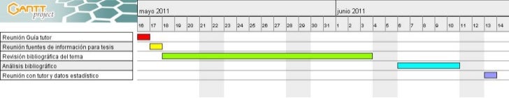 Carta gantt tesis doctoral