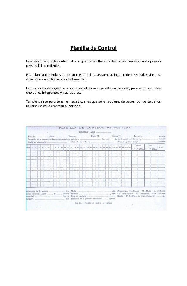 Carta gantt y planilla de control