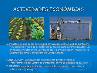ACTIVIDADES ECONÓMICAS




La industria es una de las principales actividades económicas de Cartagena
   y su comarca, y ha sido el motor de su crecimiento durante décadas. Las
   principales industrias de Cartagena son: la antigua Bazán (Navantia), la
   Generalt Electric y el polígono de Cabezo Beaza.

AGRICULTURA: Las aguas del Trasvase han proporcionado la
  transformación del Campo de Cartagena, ahora se dedican 36.112 Has
TURISMO: Hay potenciación turística por la proximidad a la costa y el
  patrimonio arqueológico.
 
