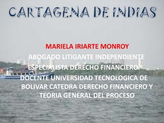 MARIELA IRIARTE MONROY
ABOGADO LITIGANTE INDEPENDIENTE
ESPECIALISTA DERECHO FINANCIERO.
DOCENTE UNIVERSIDAD TECNOLOGICA DE
BOLIVAR CATEDRA DERECHO FINANCIERO Y
TEORIA GENERAL DEL PROCESO
 