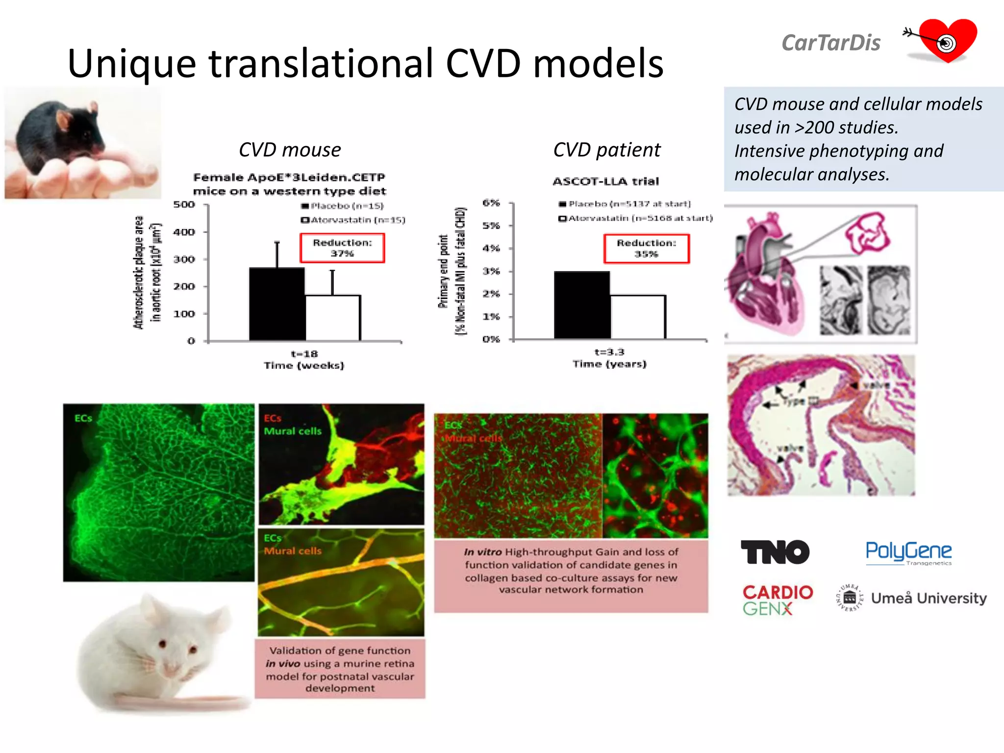 Unique translational CVD models
CarTarDis
CVD mouse CVD patient
CVD mouse and cellular models
used in >200 studies.
Intensive phenotyping and
molecular analyses.
 