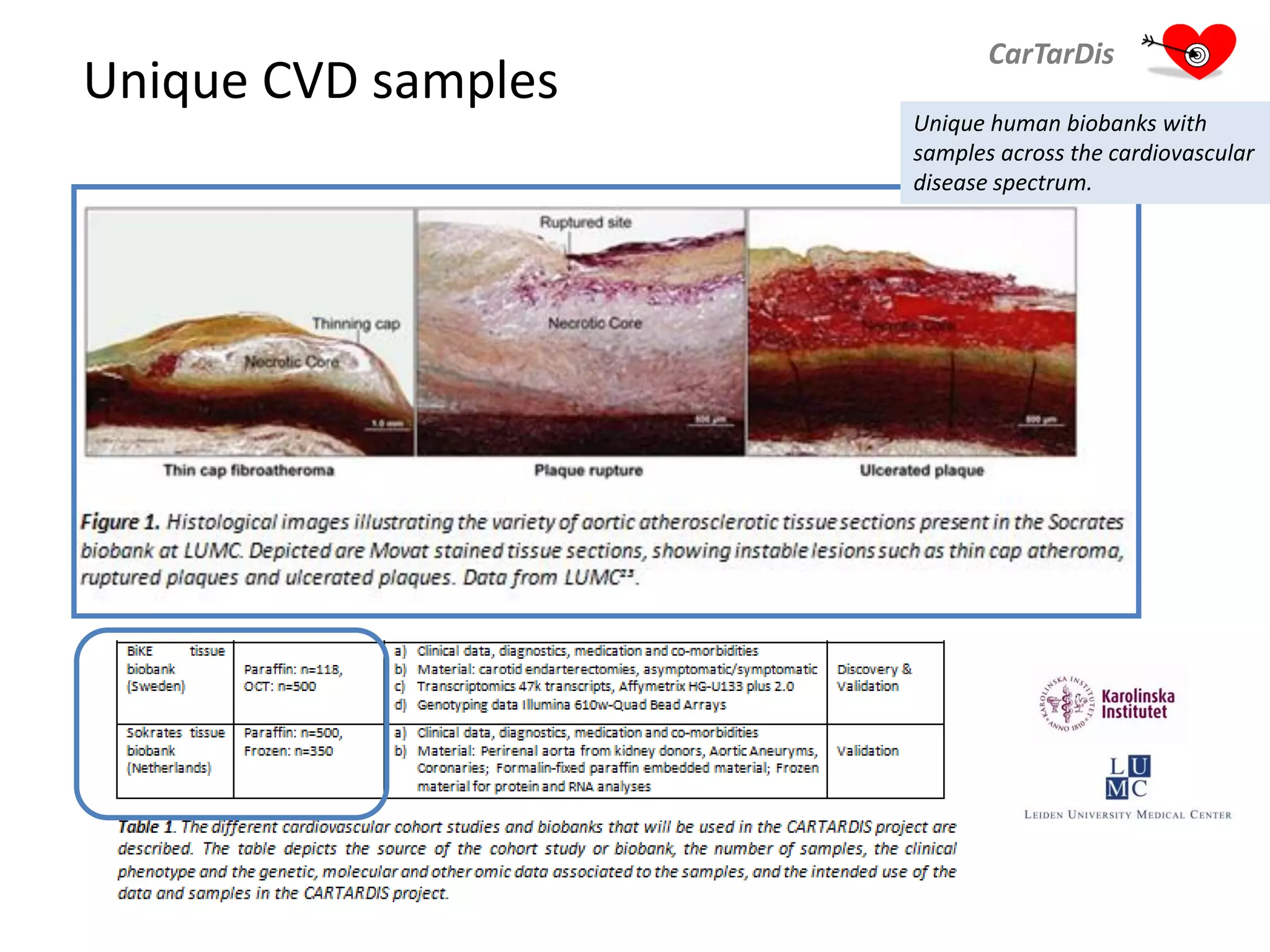 Unique CVD samples
CarTarDis
Unique human biobanks with
samples across the cardiovascular
disease spectrum.
 