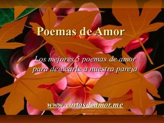 Poemas de Amor

Los mejores 5 poemas de amor
para dedicarle a nuestra pareja



    www.cartasdeamor.me
 