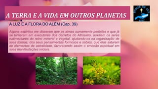 A TERRA E A VIDA EM OUTROS PLANETAS
A LUZ E A FLORA DO ALÉM (Cap. 39)
Alguns espíritos me disseram que as almas sumamente perfeitas e que já
se tornaram em executores dos decretos do Altíssimo, auxiliam os seres
rudimentares do reino mineral e vegetal, ajudando-os na organização de
suas formas, dos seus pensamentos formosos e sábios, que elas saturam
de elementos de astralidade, favorecendo assim o embrião espiritual em
suas manifestações iniciais.
 