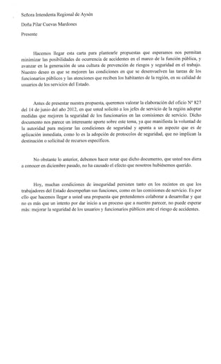 Carta ANEF sobre seguridad a intendenta Región de Aysen