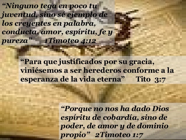 Epistolas Pastorales - Resumen