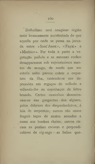 IÓO
Difficilimo será imaginar região
mais bruscamente accidentada do que
aquella por onde se passa na jorna-
da entre «Sant'Anna», «Fayaí» e
«Machico». Por toda a parte a ve-
getação pullula e as mesmas rochas
desapparecem sob espessíssimos man-
tos de musgo, de modo que um
estofo solto parece cobrir o esque-
leto da ilha, sustendo-se nas de-
pressões em regaços de velludo e
sellando-lhe os espinhaços de feltro
brando. Certos caminhos desenros-
cam-se nas gargantas dos algares,
pelos debruns dos despenhadeiros, á
laia de serpentes; outros s3o como
frágeis laços de nastro atirados a
esmo aos lombos cheios; outros ris-
cam as penhas escuras e perpendi-
culares de zig-zags — as linhas que-
 