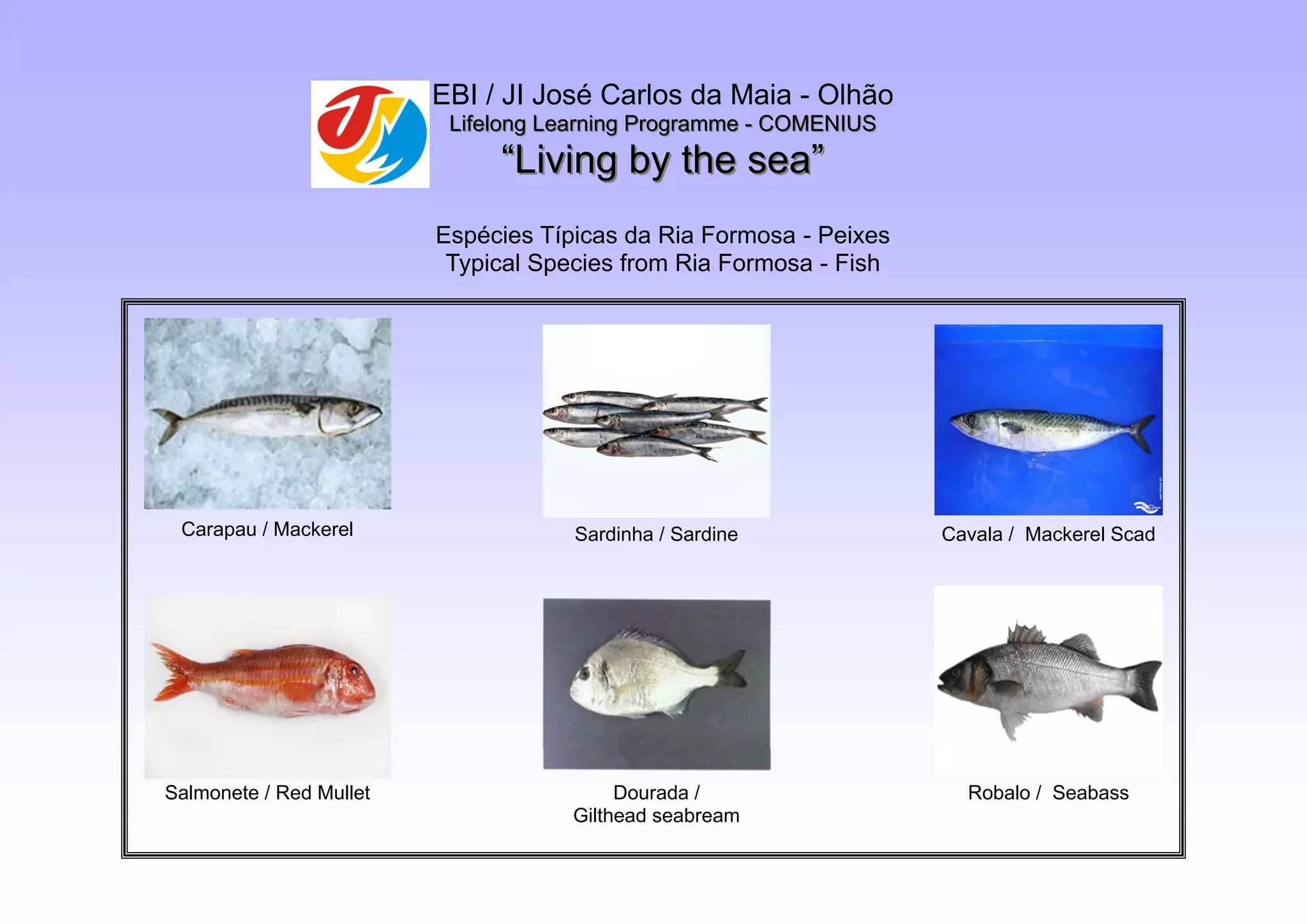 Fish | PDF