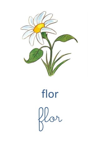 flor 
flor 