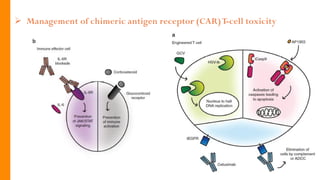 Car t cells - Chimeric antigen receptors (CARs) | PDF