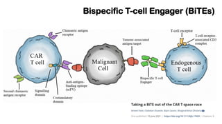 Chimeric Antigen Receptors T-cell (CAR-T) & Bispecific T- cell engager ...