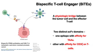 Chimeric Antigen Receptors T-cell (CAR-T) & Bispecific T- cell engager ...