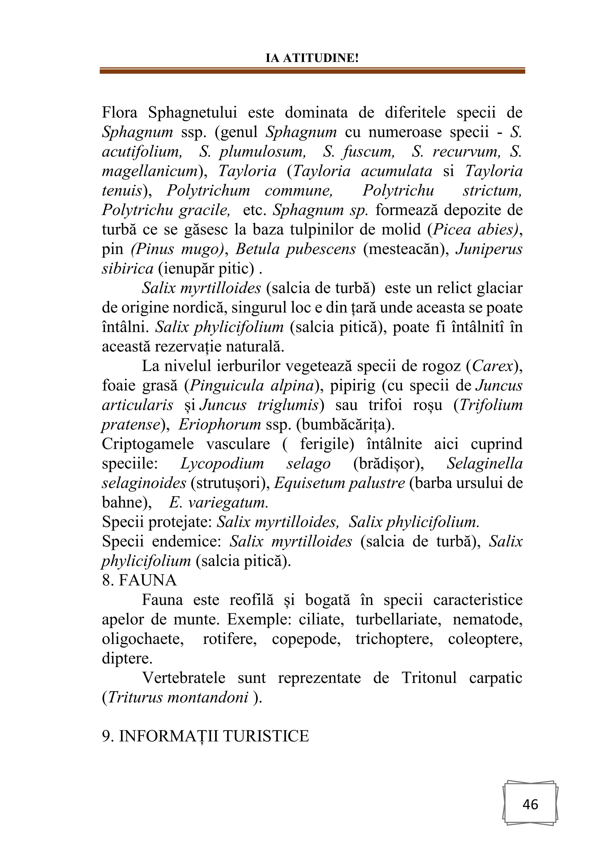 IA ATITUDINE!
46
Flora Sphagnetului este dominata de diferitele specii de
Sphagnum ssp. (genul Sphagnum cu numeroase specii - S.
acutifolium, S. plumulosum, S. fuscum, S. recurvum, S.
magellanicum), Tayloria (Tayloria acumulata si Tayloria
tenuis), Polytrichum commune, Polytrichu strictum,
Polytrichu gracile, etc. Sphagnum sp. formează depozite de
turbă ce se găsesc la baza tulpinilor de molid (Picea abies),
pin (Pinus mugo), Betula pubescens (mesteacăn), Juniperus
sibirica (ienupăr pitic) .
Salix myrtilloides (salcia de turbă) este un relict glaciar
de origine nordică, singurul loc e din țară unde aceasta se poate
întâlni. Salix phylicifolium (salcia pitică), poate fi întâlnitî în
această rezervație naturală.
La nivelul ierburilor vegetează specii de rogoz (Carex),
foaie grasă (Pinguicula alpina), pipirig (cu specii de Juncus
articularis și Juncus triglumis) sau trifoi roșu (Trifolium
pratense), Eriophorum ssp. (bumbăcărița).
Criptogamele vasculare ( ferigile) întâlnite aici cuprind
speciile: Lycopodium selago (brădișor), Selaginella
selaginoides (strutușori), Equisetum palustre (barba ursului de
bahne), E. variegatum.
Specii protejate: Salix myrtilloides, Salix phylicifolium.
Specii endemice: Salix myrtilloides (salcia de turbă), Salix
phylicifolium (salcia pitică).
8. FAUNA
Fauna este reofilă și bogată în specii caracteristice
apelor de munte. Exemple: ciliate, turbellariate, nematode,
oligochaete, rotifere, copepode, trichoptere, coleoptere,
diptere.
Vertebratele sunt reprezentate de Tritonul carpatic
(Triturus montandoni ).
9. INFORMAȚII TURISTICE
 