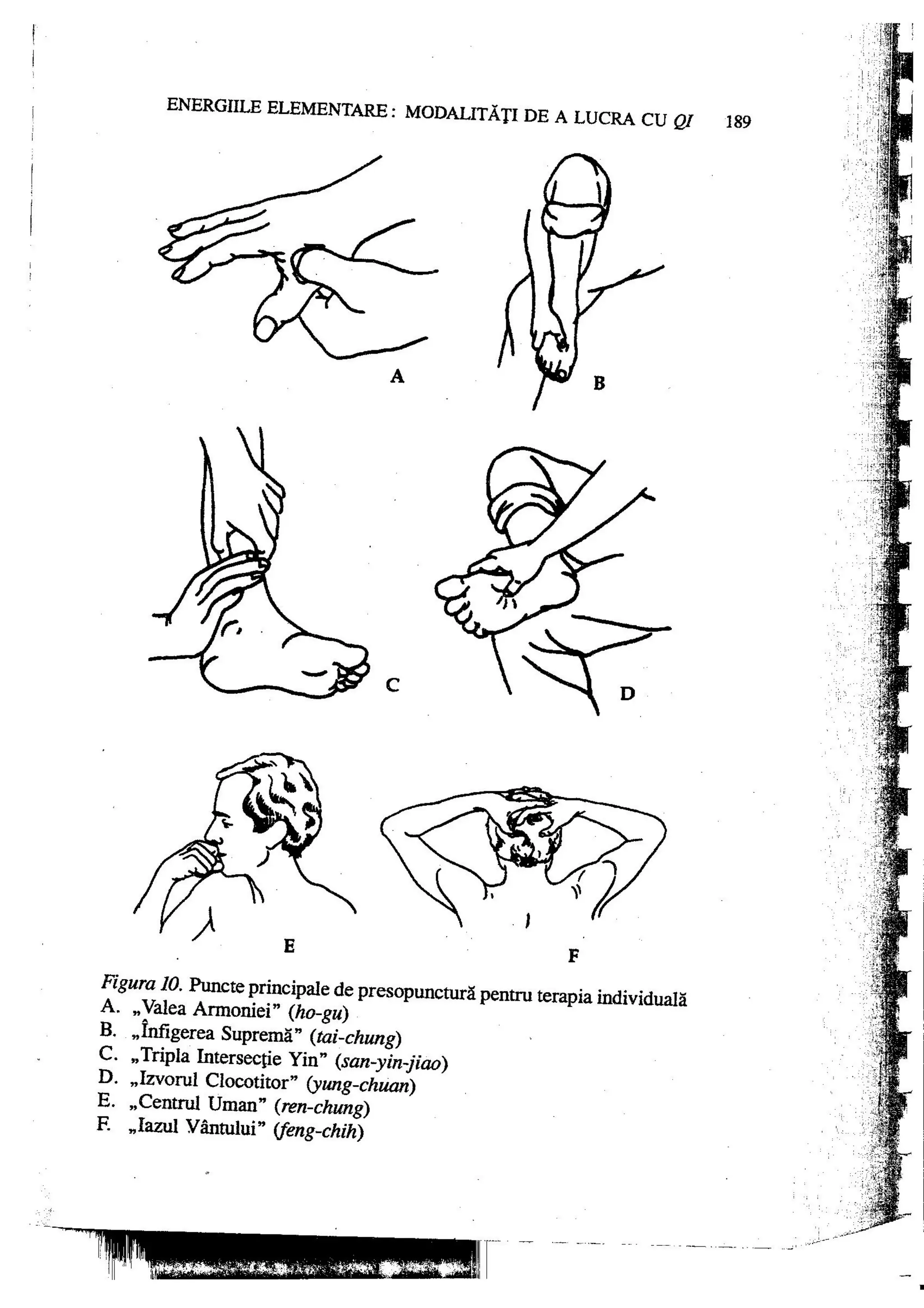 Carte qi-gong-manual-de-initiere-daniel-reid