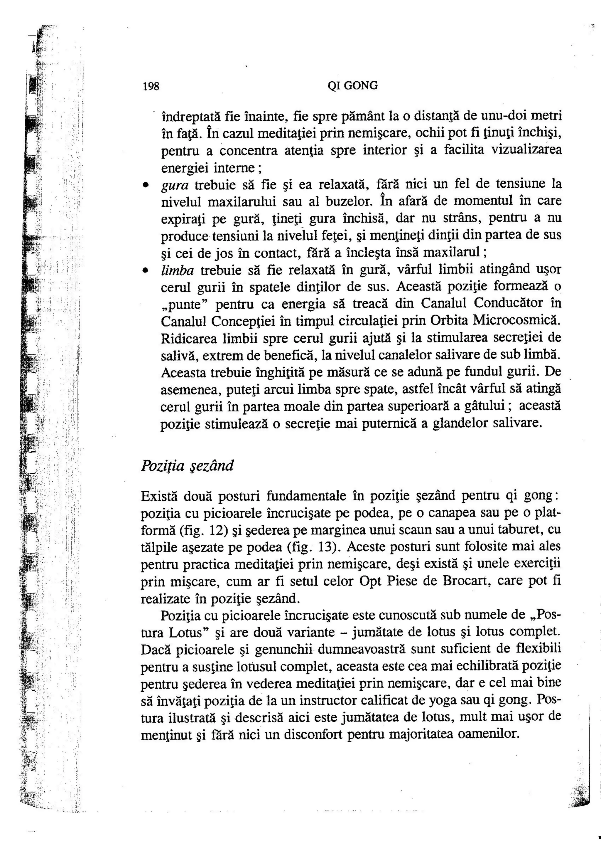 Carte qi-gong-manual-de-initiere-daniel-reid