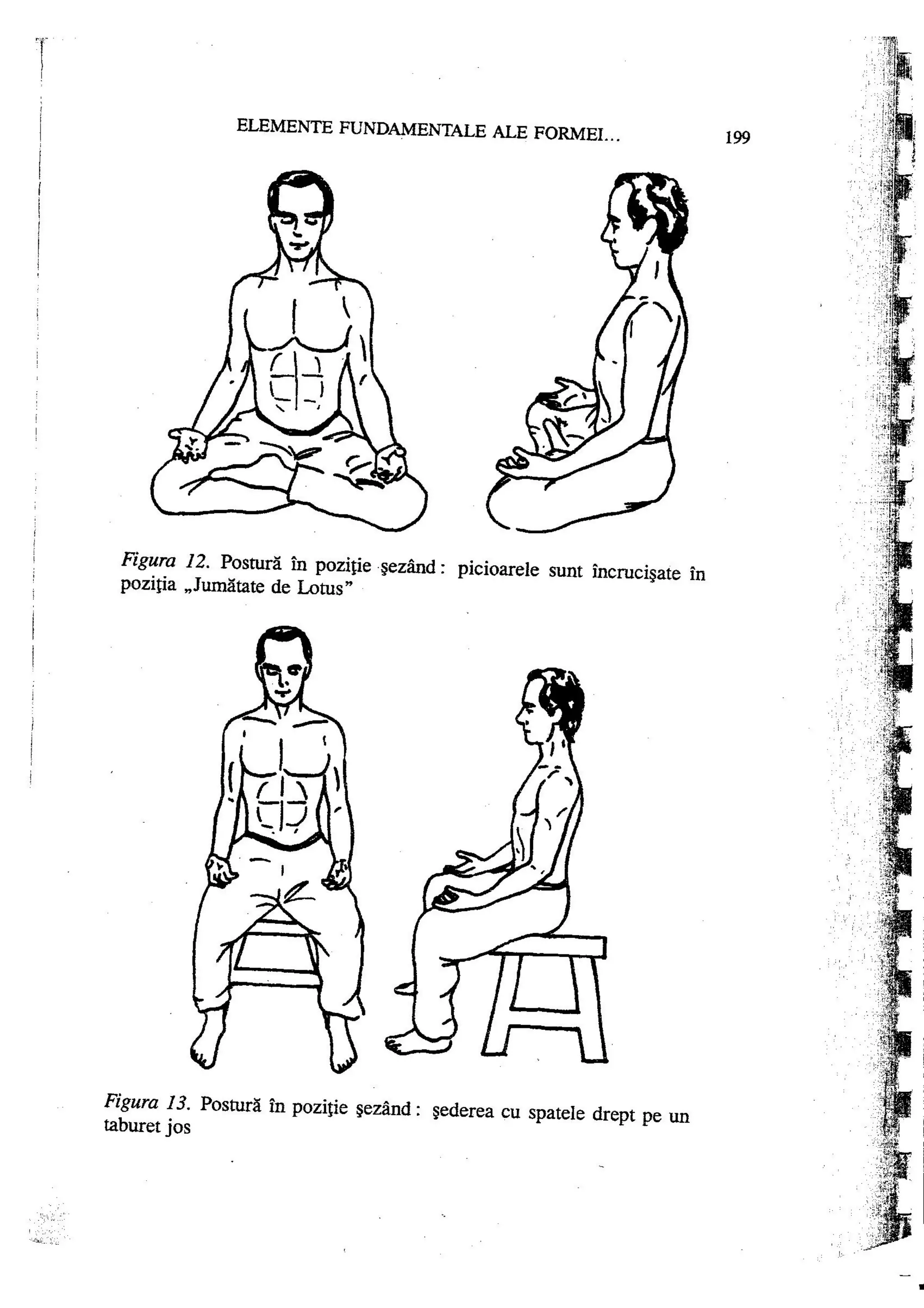Carte qi-gong-manual-de-initiere-daniel-reid