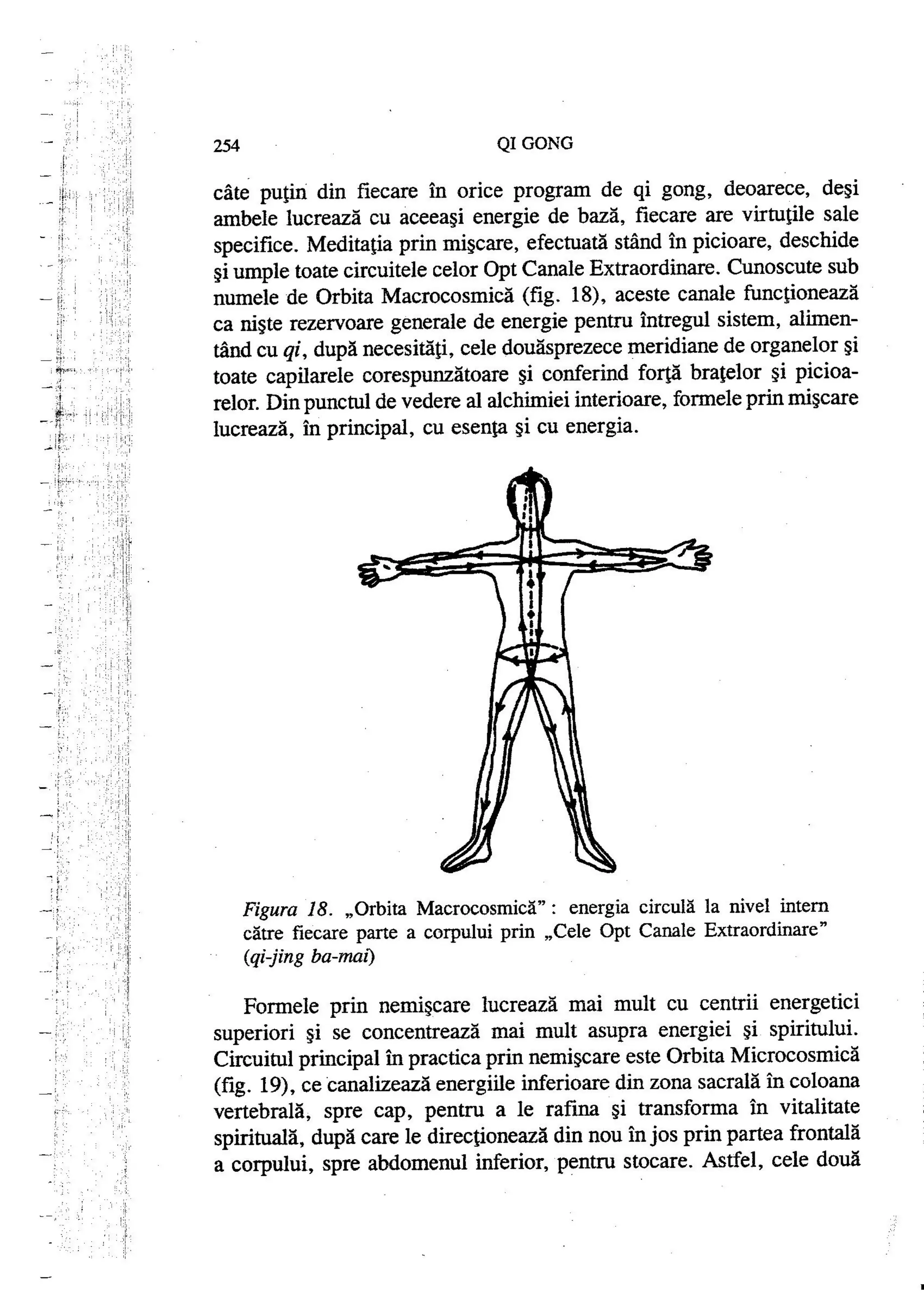 Carte qi-gong-manual-de-initiere-daniel-reid