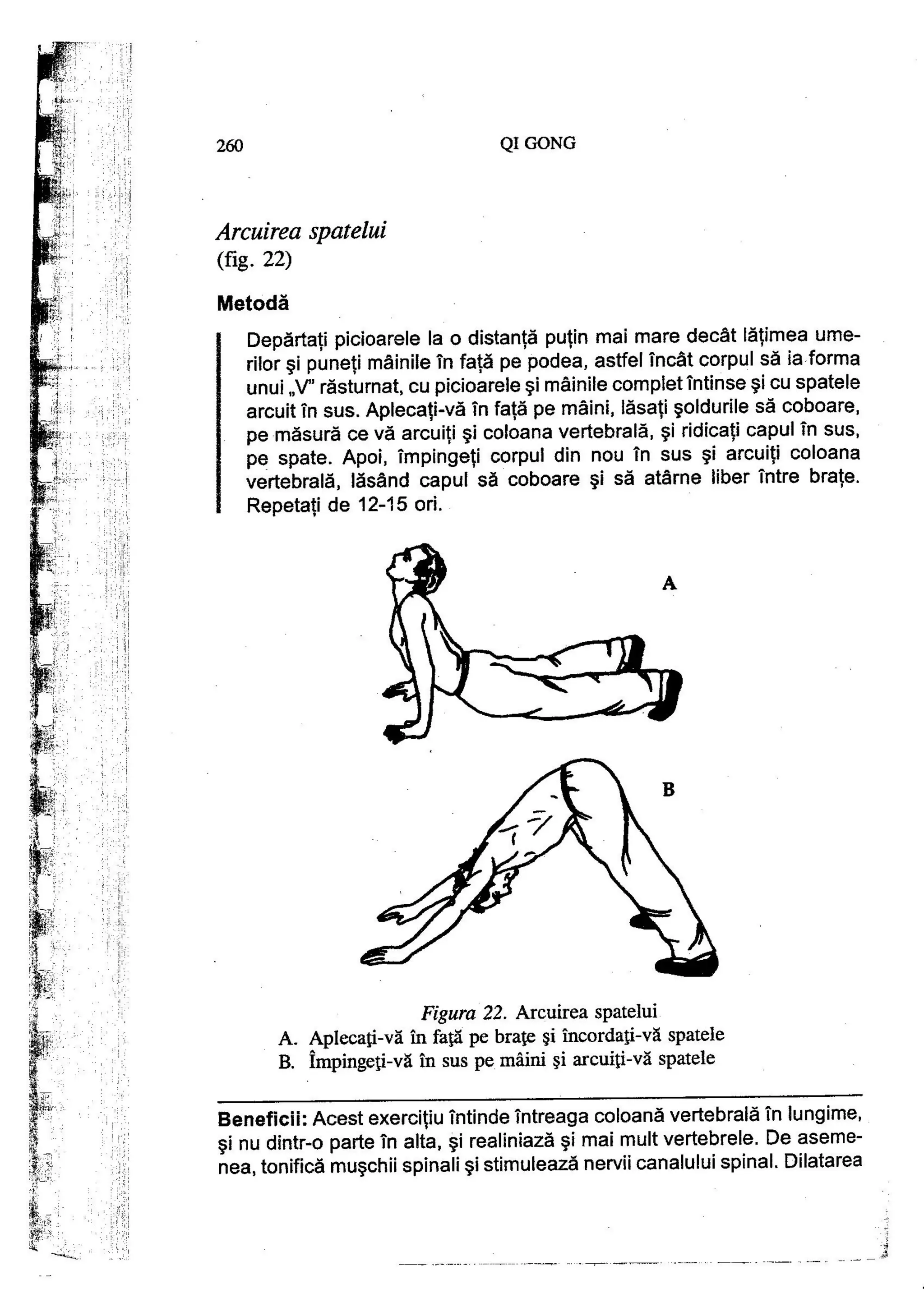 Carte qi-gong-manual-de-initiere-daniel-reid