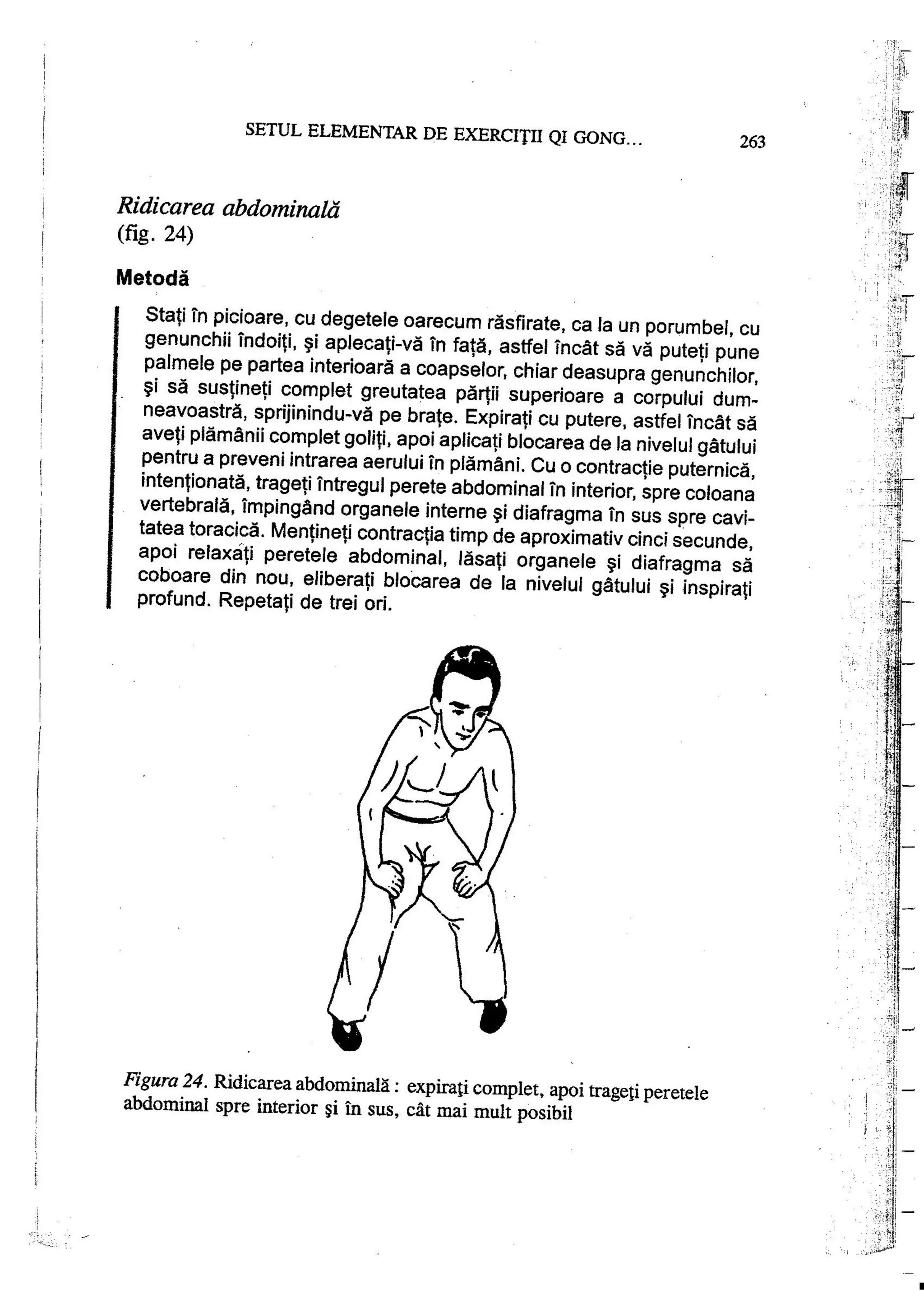 Carte qi-gong-manual-de-initiere-daniel-reid