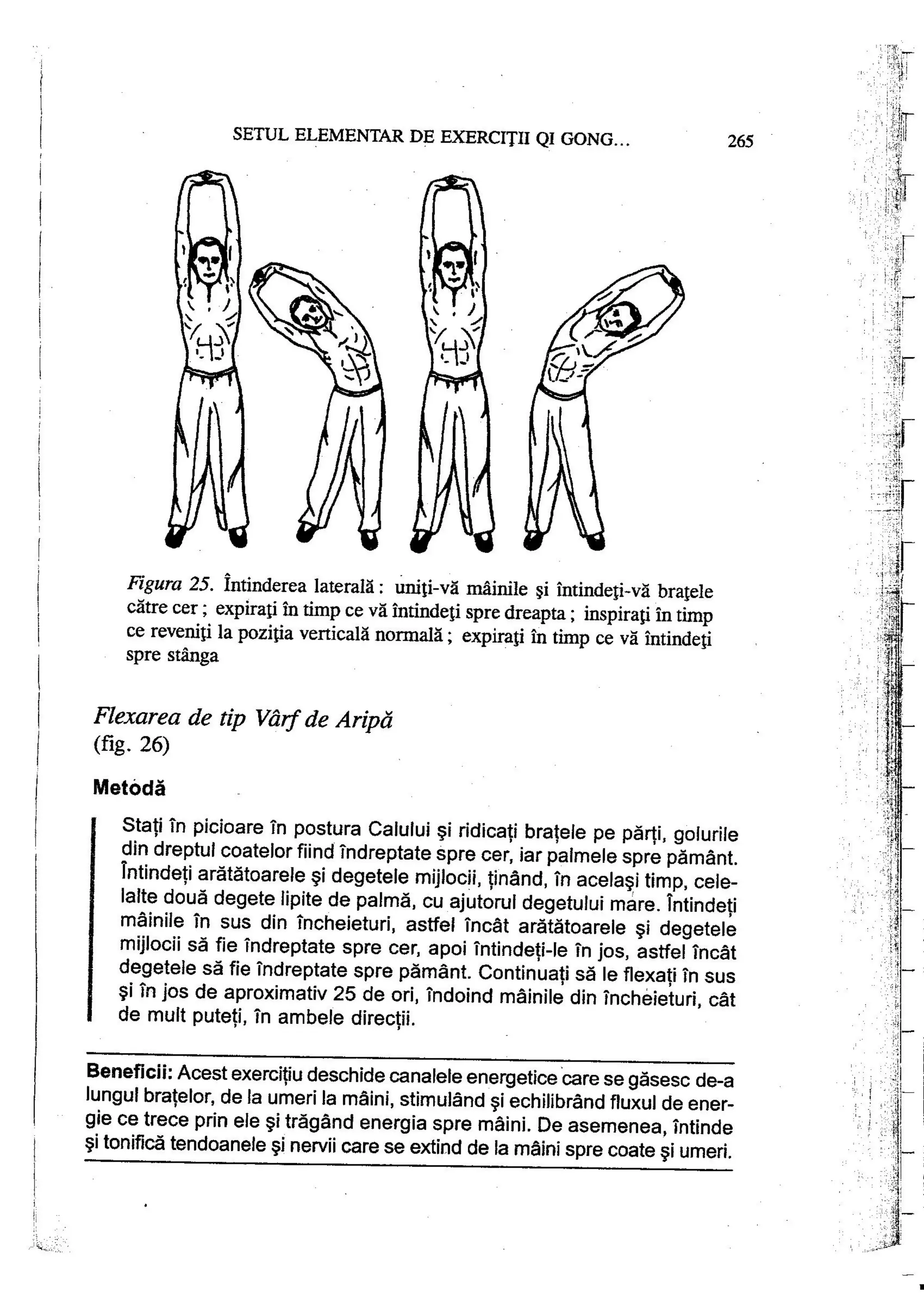 Carte qi-gong-manual-de-initiere-daniel-reid