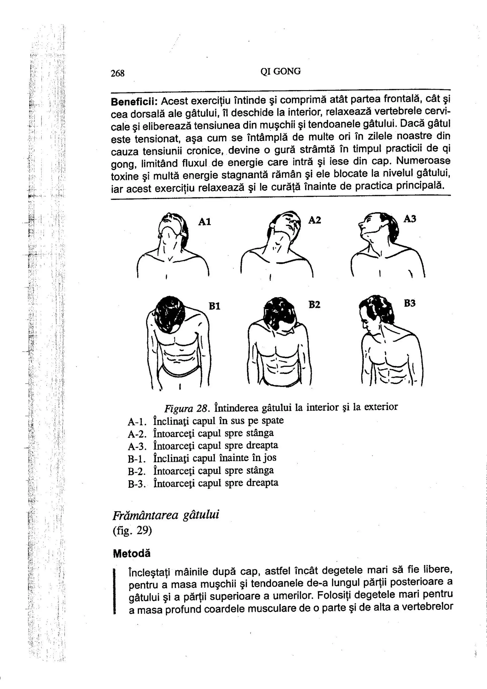 Carte qi-gong-manual-de-initiere-daniel-reid