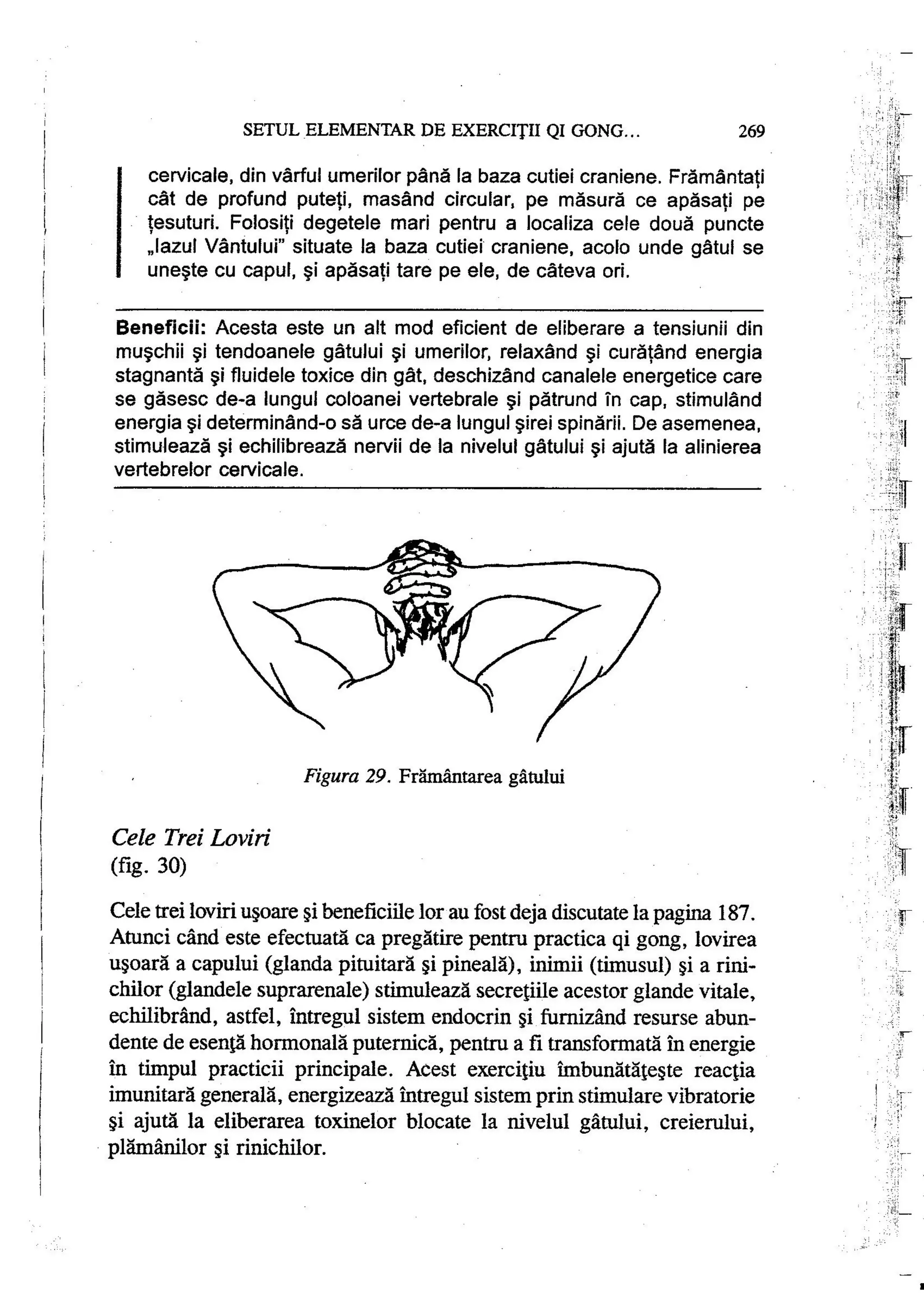Carte qi-gong-manual-de-initiere-daniel-reid