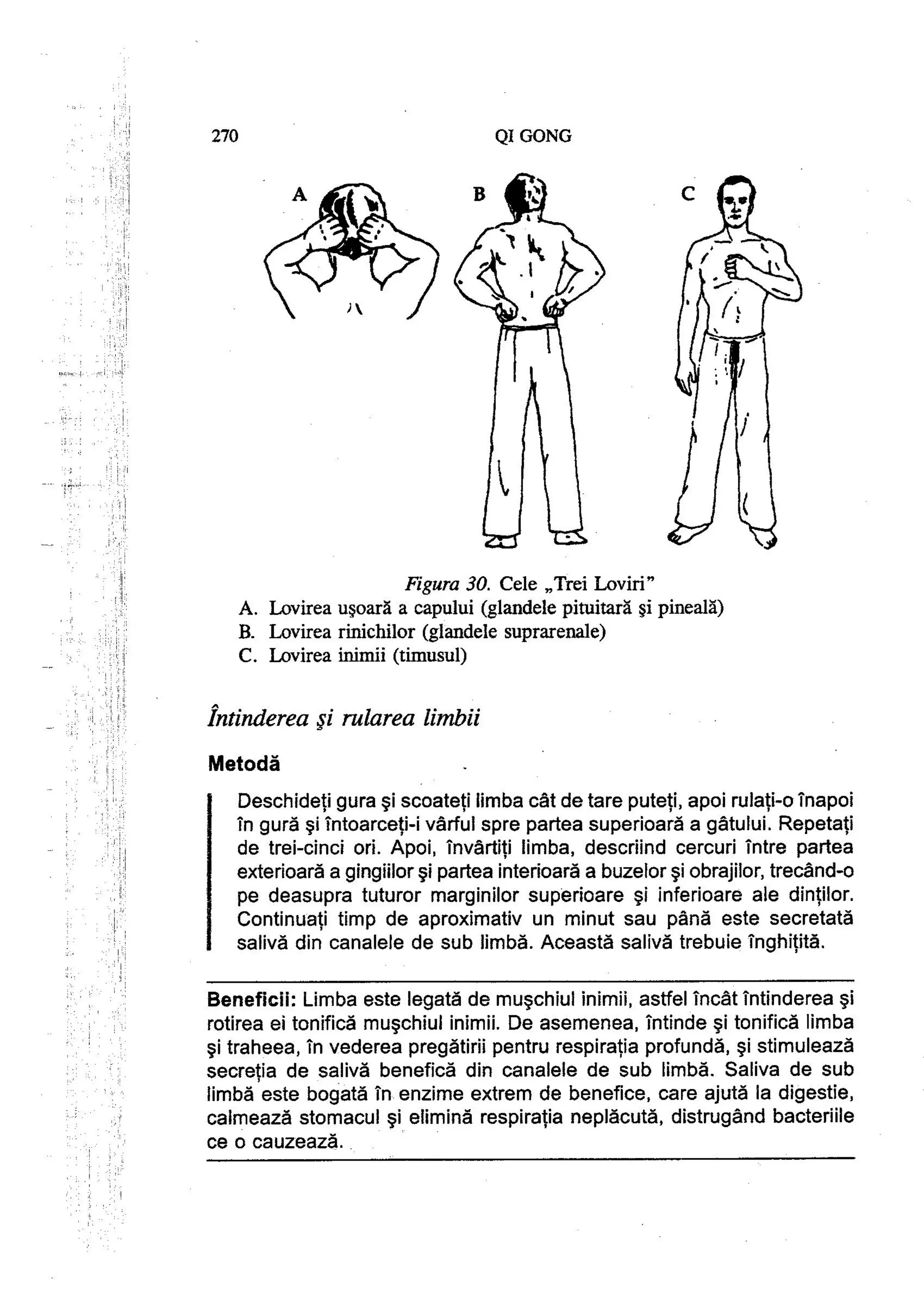 Carte qi-gong-manual-de-initiere-daniel-reid