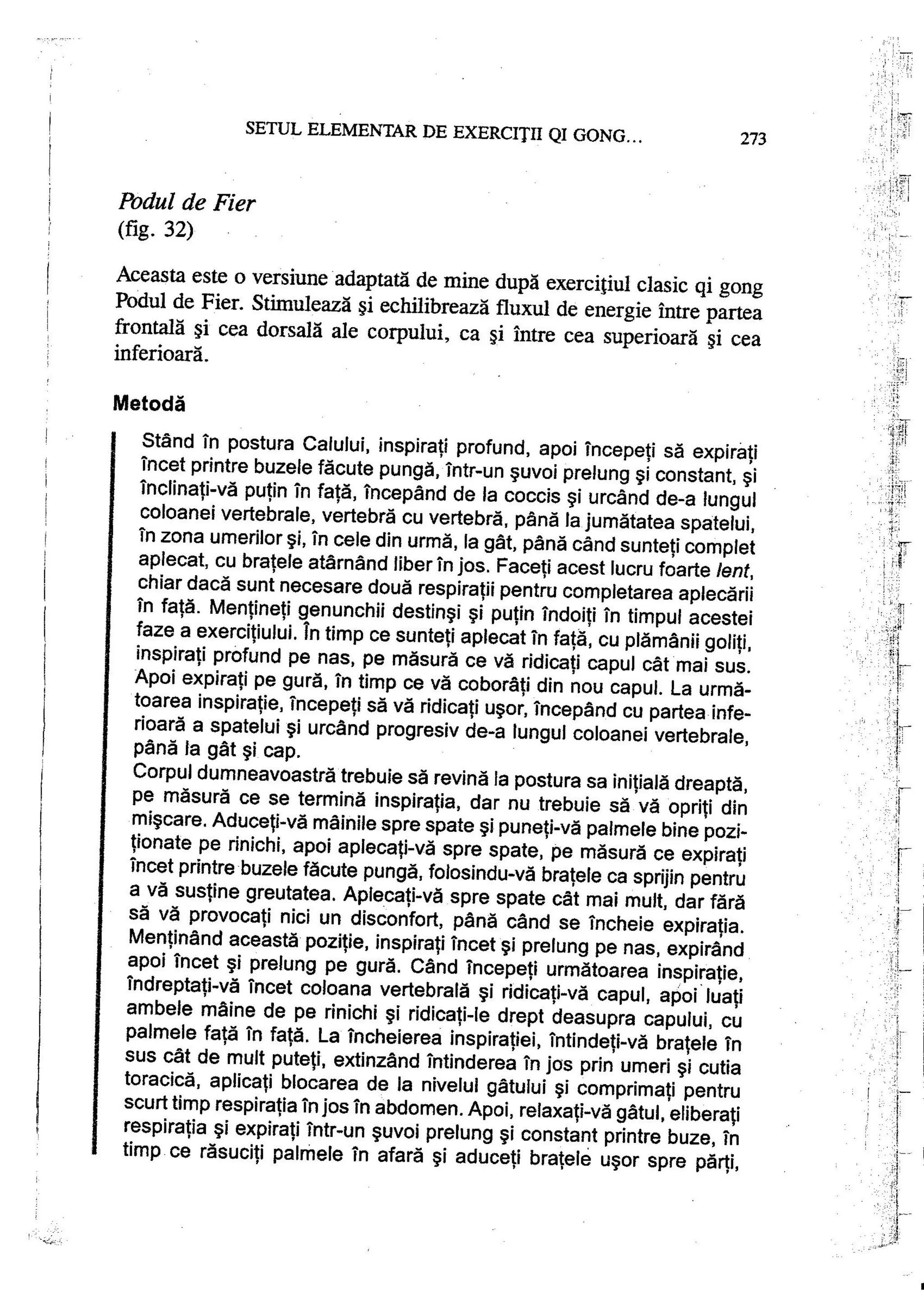 Carte qi-gong-manual-de-initiere-daniel-reid