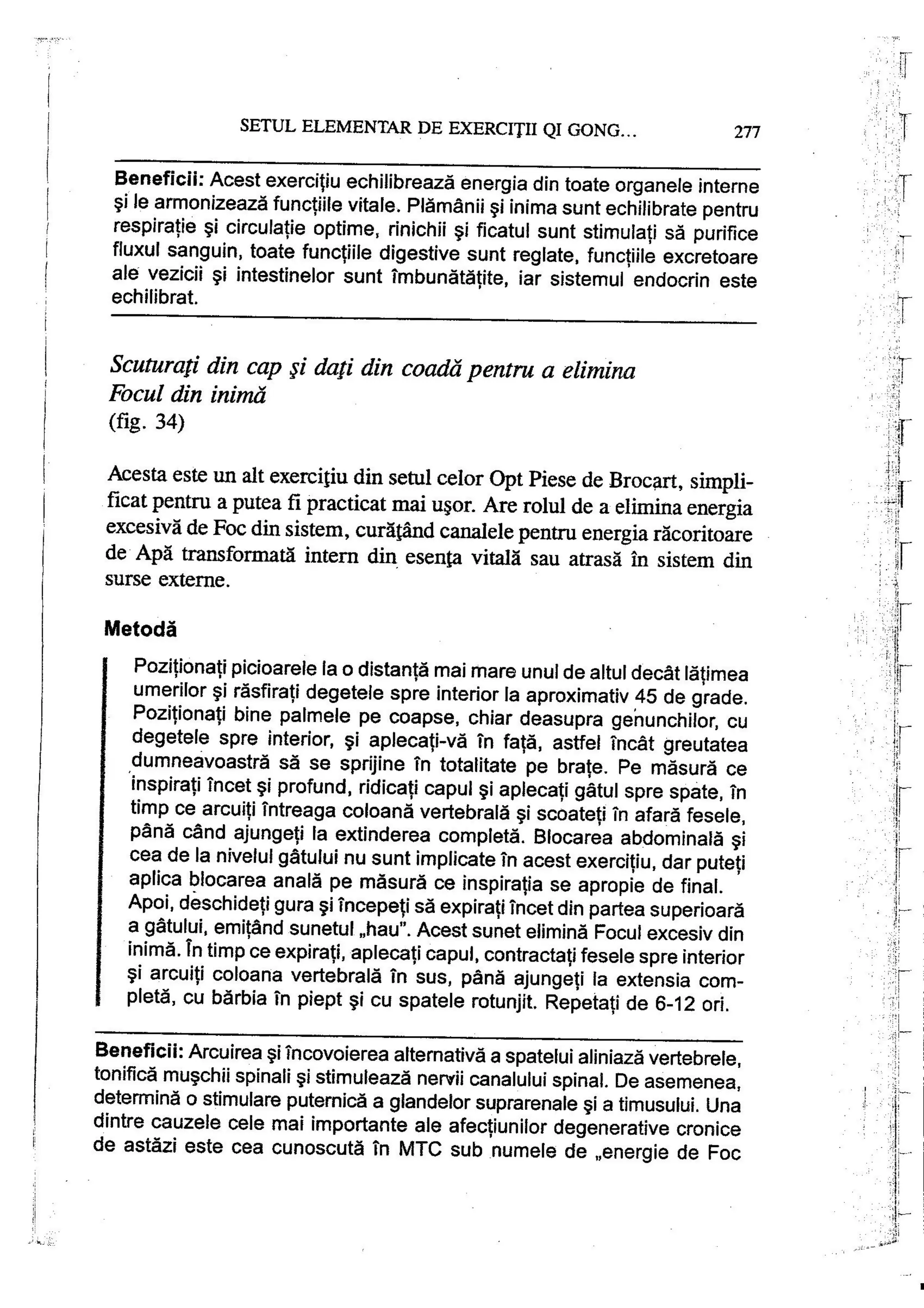 Carte qi-gong-manual-de-initiere-daniel-reid