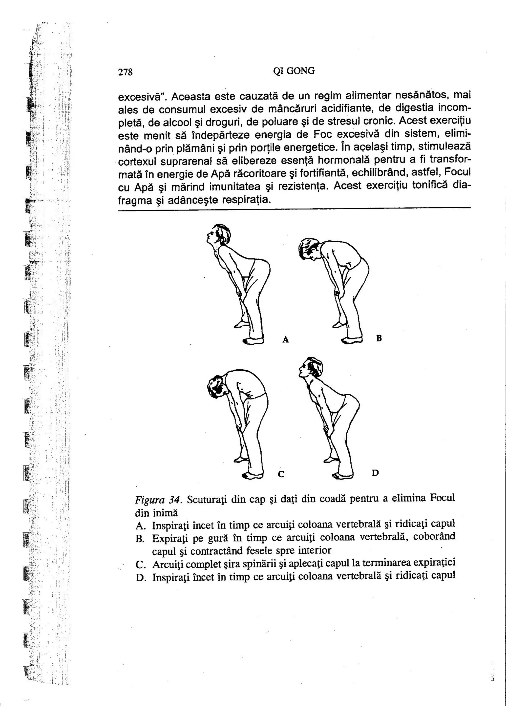 Carte qi-gong-manual-de-initiere-daniel-reid