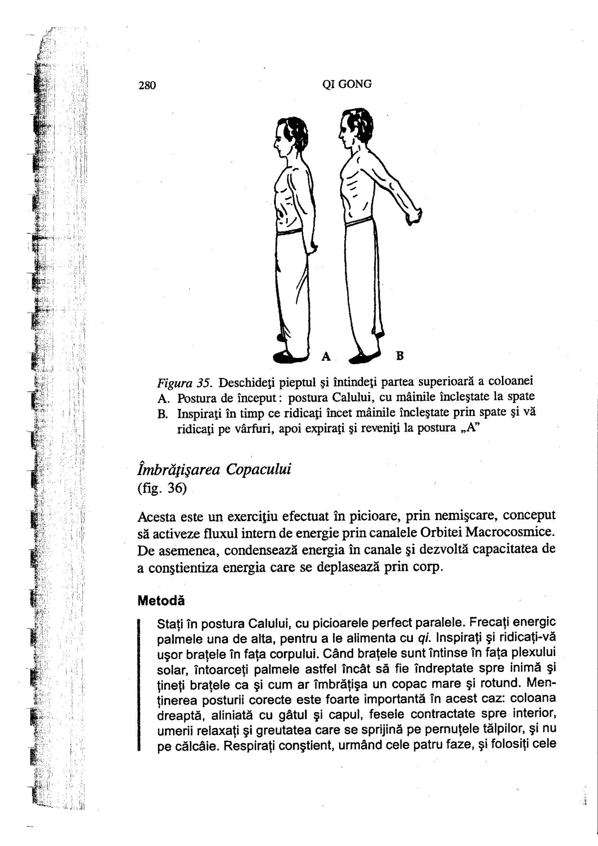 Carte qi-gong-manual-de-initiere-daniel-reid