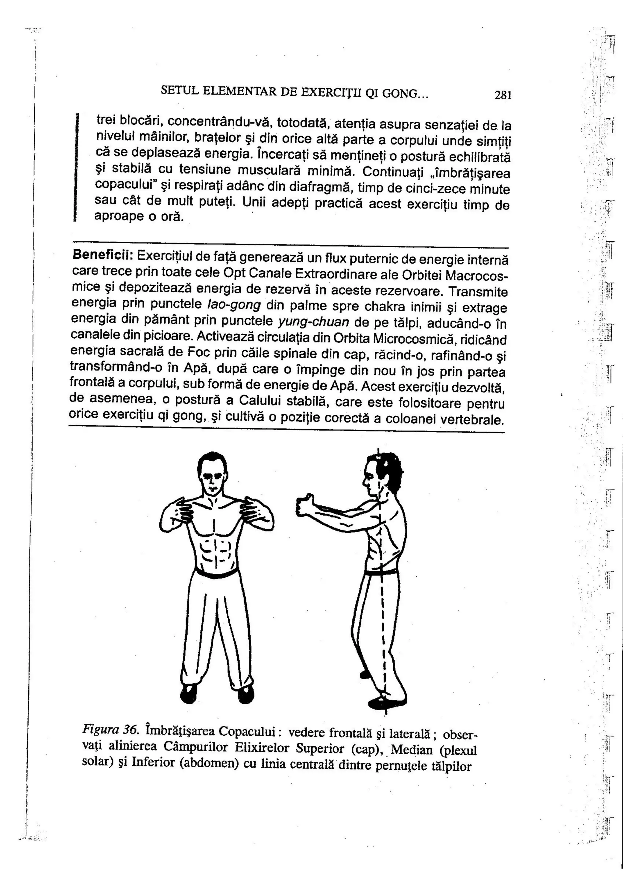 Carte qi-gong-manual-de-initiere-daniel-reid