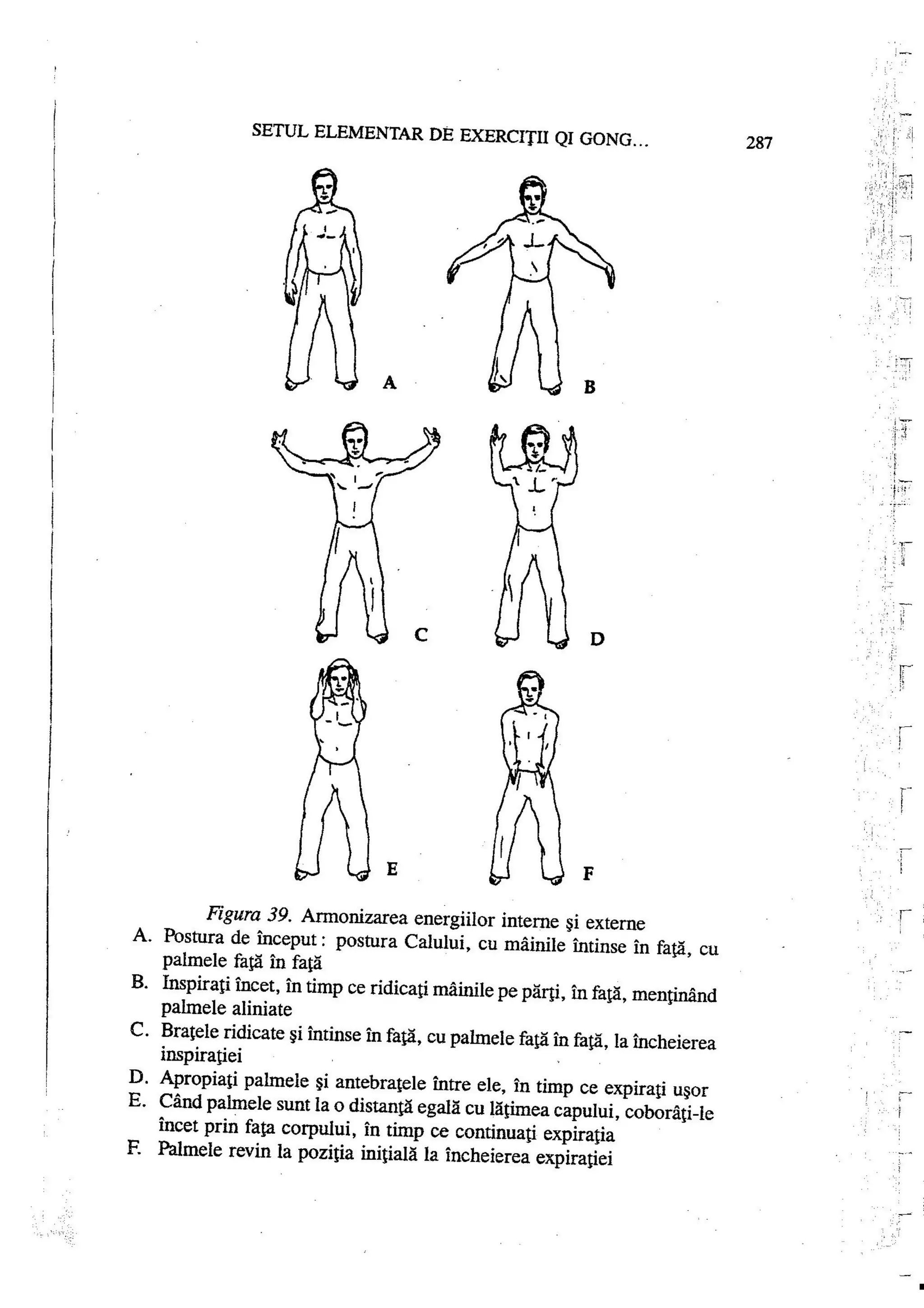 Carte qi-gong-manual-de-initiere-daniel-reid