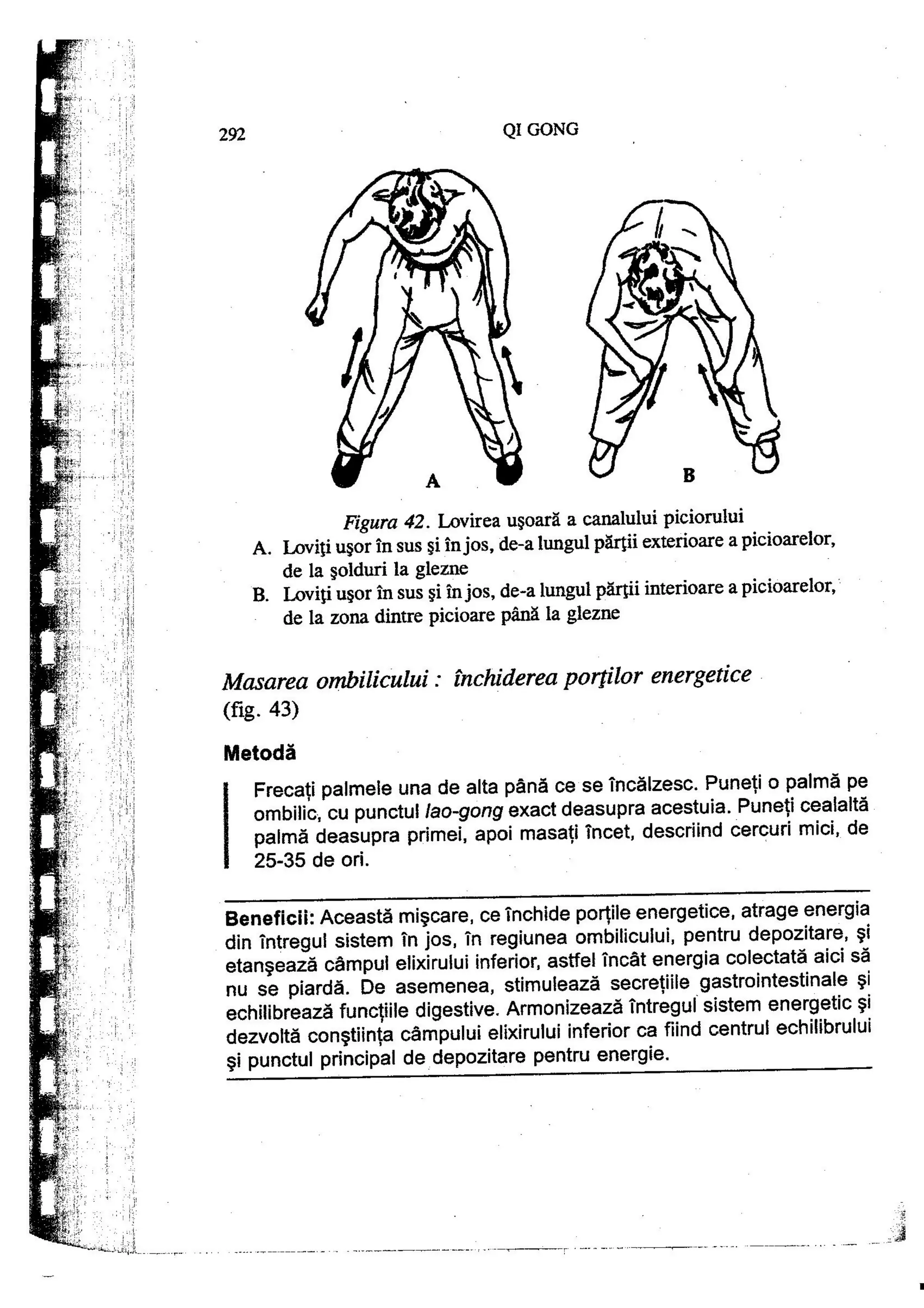 Carte qi-gong-manual-de-initiere-daniel-reid