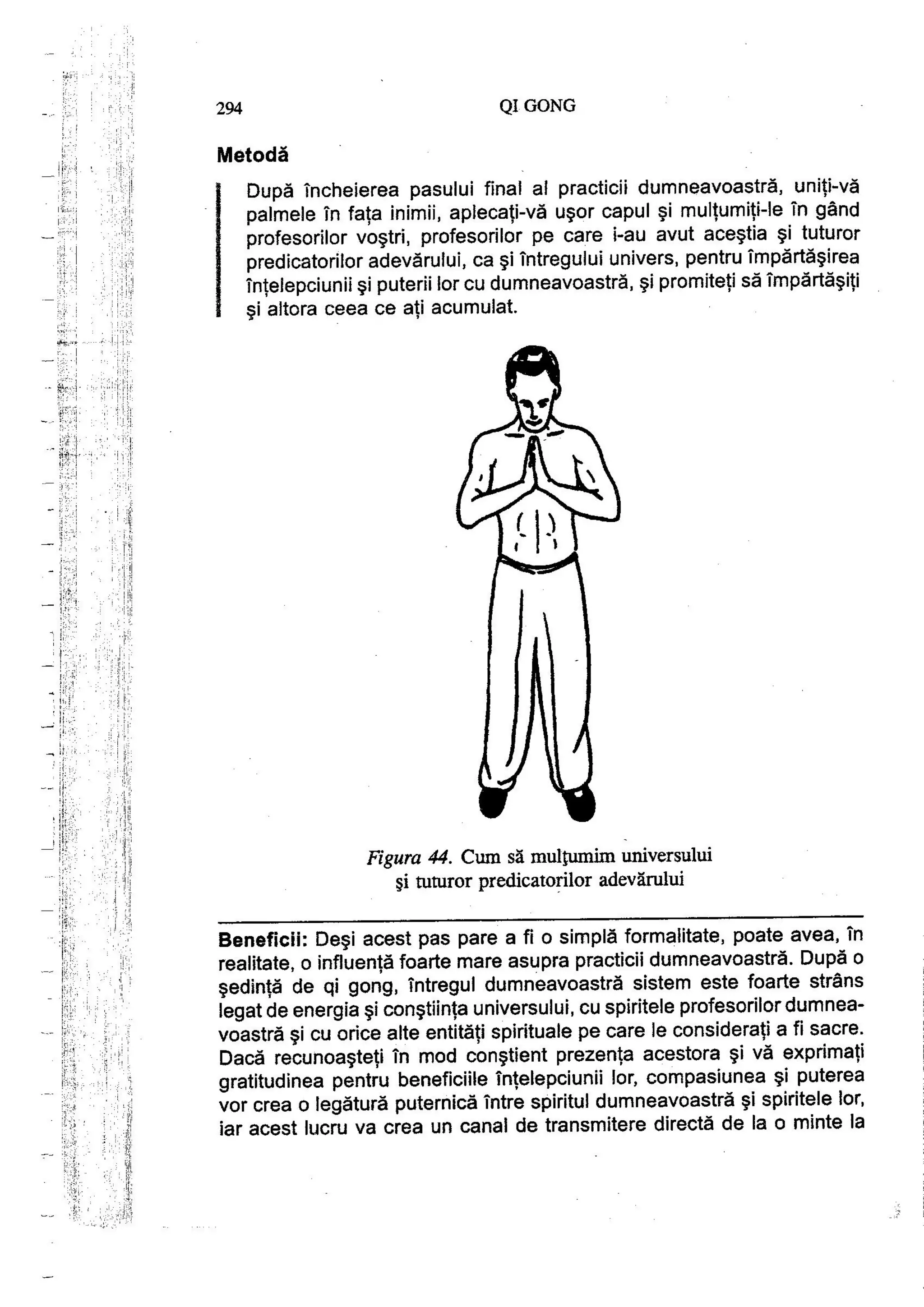 Carte qi-gong-manual-de-initiere-daniel-reid