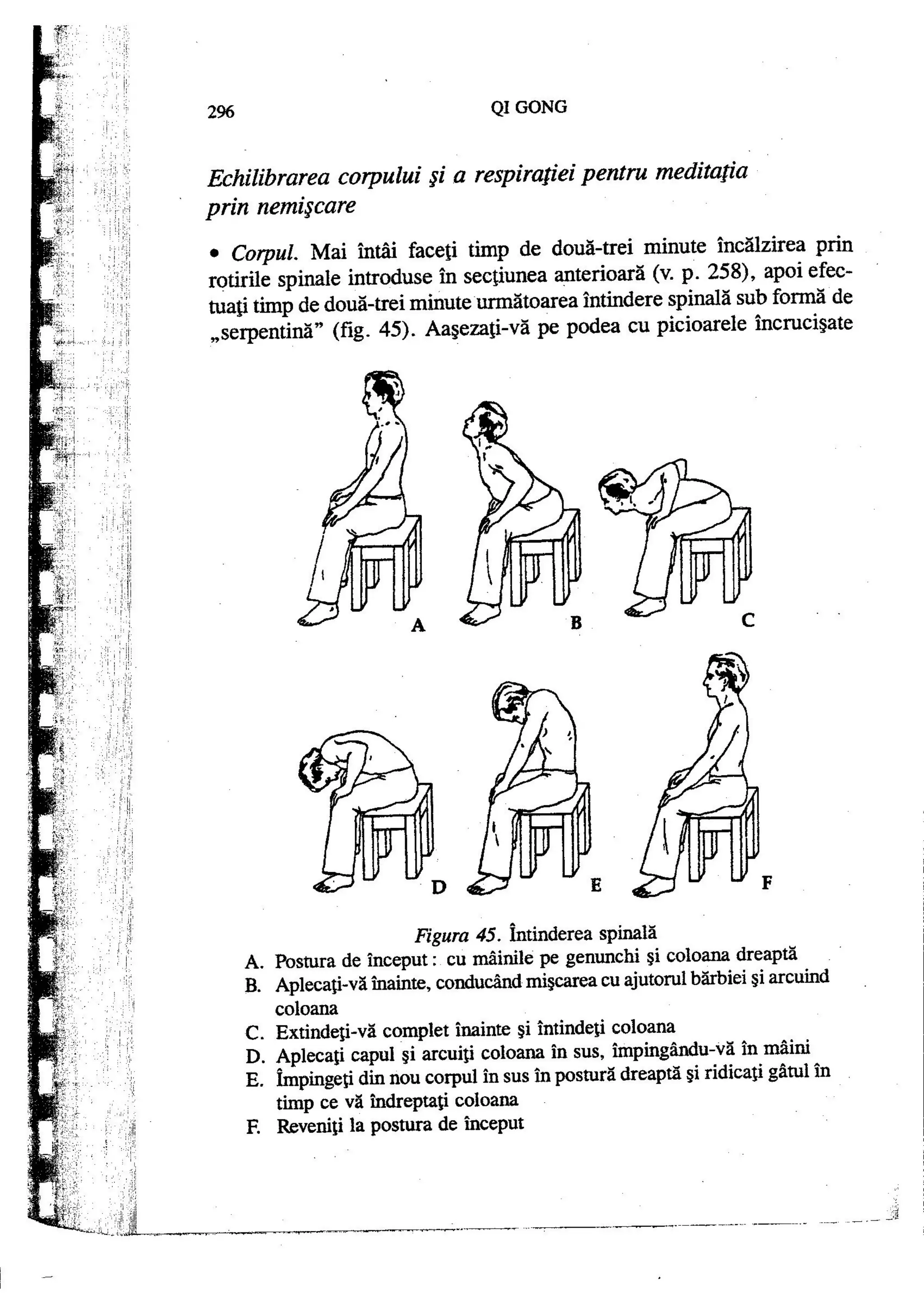 Carte qi-gong-manual-de-initiere-daniel-reid