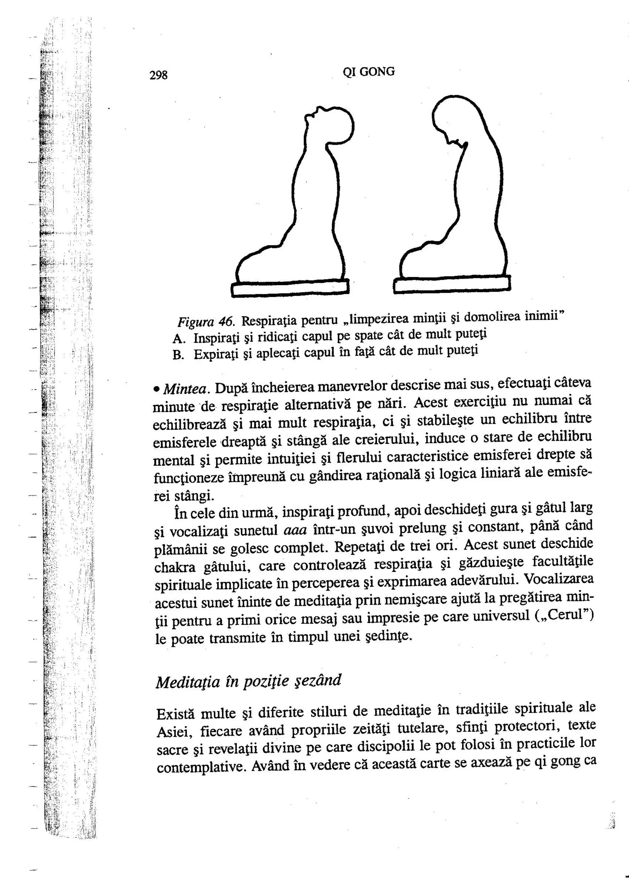 Carte qi-gong-manual-de-initiere-daniel-reid