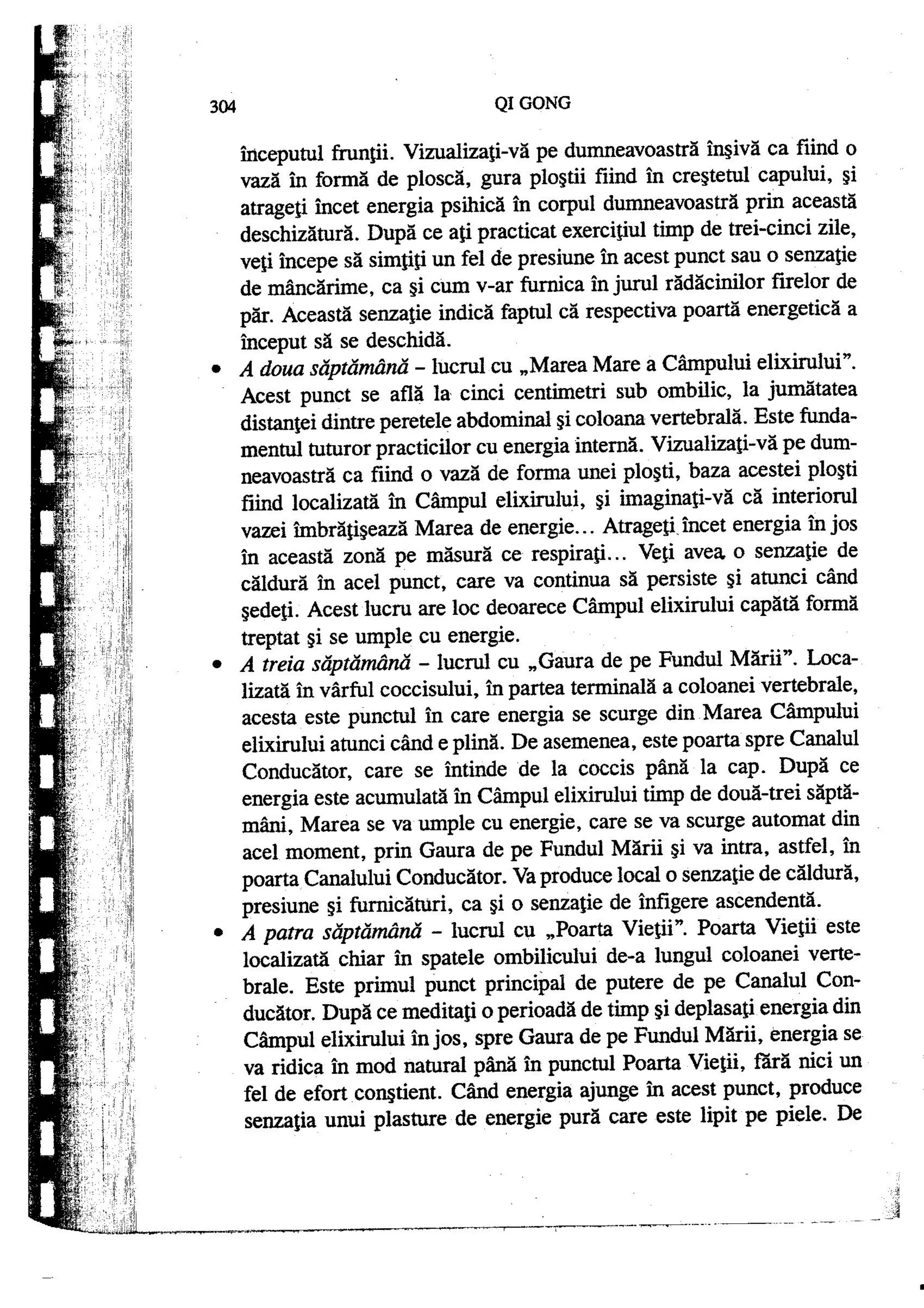 Carte qi-gong-manual-de-initiere-daniel-reid