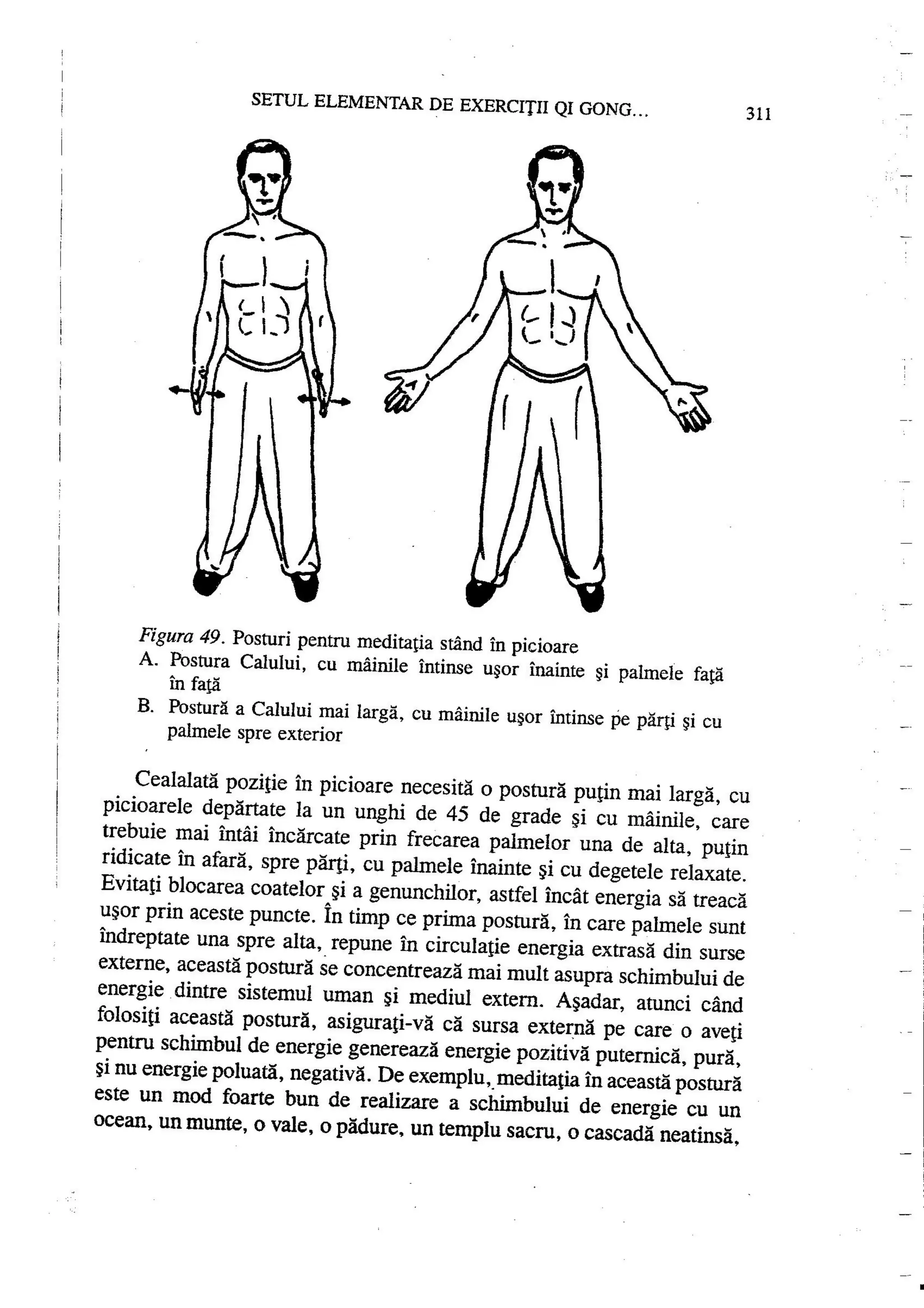Carte qi-gong-manual-de-initiere-daniel-reid