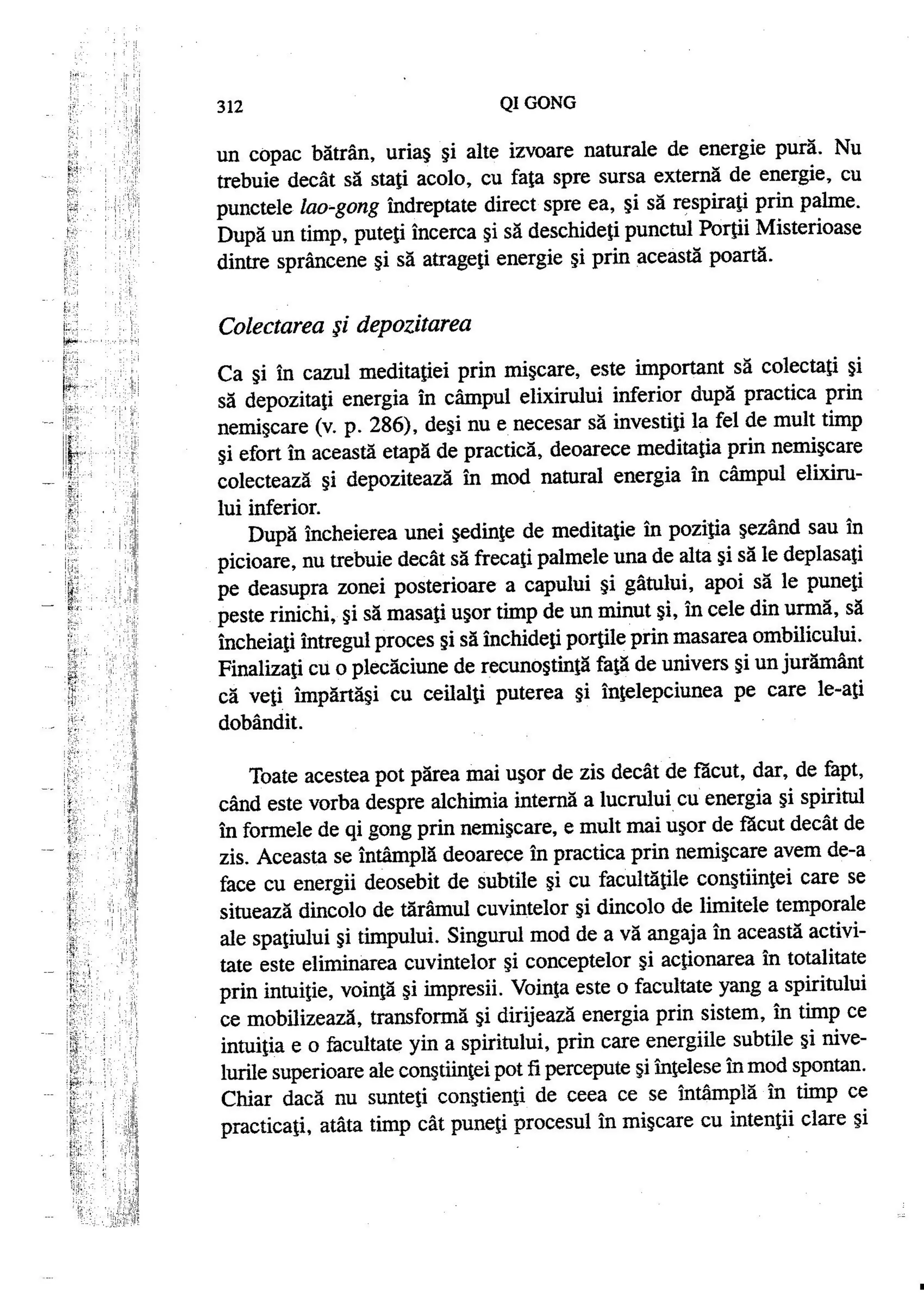 Carte qi-gong-manual-de-initiere-daniel-reid