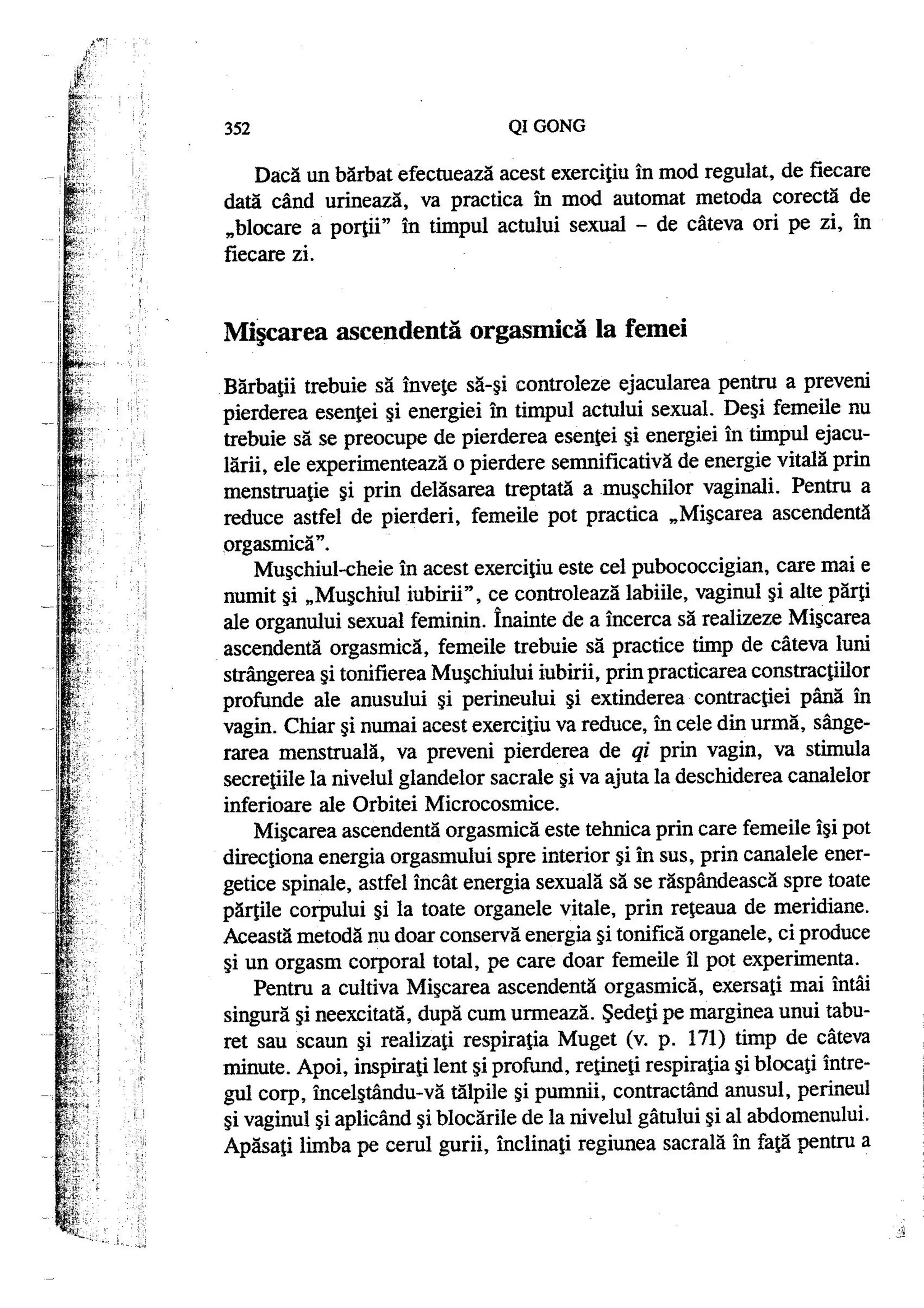 Carte qi-gong-manual-de-initiere-daniel-reid