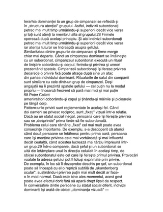 Ierarhia dominanţei la un grup de cimpanzei se reflectă şi
în „structura atenţiei" grupului. Astfel, indivizii subordonaţi
petrec mai mult timp urmărindu-şi superiorii decât vice versa
şi toţi sunt atenţi la membrul alfa al grupului.28 Firmele
operează după acelaşi principiu. Şi aici indivizii subordonaţi
petrec mai mult timp urmărindu-şi superiorii decât vice versa
iar atenţia tuturor se îndreaptă asupra şefului.
Similaritatea dintre grupurile de cimpanzei şi firme merge
chiar mai departe. Când un cimpanzeu dominant se întâlneşte
cu un subordonat, cimpanzeul subordonat execută un ritual
de liniştire coborându-şi corpul, ferindu-şi privirea şi uneori
prezentând spatele. Cimpanzeii subordonaţi îşi feresc privirea
deoarece o privire fixă poate atrage după sine un atac
din partea individului dominant. Ritualurile de salut din companii
sunt similare cu cele dintr-un grup de cimpanzei. Deşi
angajaţii nu îi prezintă spatele şefului — cel puţin nu la modul
propriu — încearcă frecvent să pară mai mici şi mai puţin
58 Peter Collett
ameninţători coborându-şi capul şi ţinându-şi mâinile şi picioarele
pe lângă corp.
Pattern-urile privirii sunt reglementate în acelaşi fel. Când
doi oameni se privesc reciproc, sunt „fixaţi" vizual într-o relaţie.
Dacă au un statut social inegal, persoana care îşi fereşte privirea
sau se „desprinde" prima tinde să fie subordonată.
Problema celui care rămâne „fixat" cel mai mult poate avea
consecinţe importante. De exemplu, s-a descoperit că atunci
când două persoane se întâlnesc pentru prima oară, persoana
care îşi menţine privirea este mai vorbăreaţă şi mai influentă
decât cealaltă, când acestea lucrează mai târziu împreună într-
un grup.29 Într-o companie, dacă şeful şi un subordonat se
uită din întâmplare unul în direcţia celuilalt în acelaşi timp, de
obicei subordonatul este cel care îşi fereşte primul privirea. Provocări
voalate la adresa şefului pot fi totuşi exprimate prin privire.
De exemplu, în loc să îl dezaprobe deschis pe şef, un subordonat
poate să înceapă cu el o repriză subtilă de „skandenberg
ocular", susţinându-i privirea puţin mai mult decât ar face-
o în mod normal. Dacă este bine ales momentul, acest gest
poate avea efectul dorit fără să apară drept lipsit de respect.
În conversaţiile dintre persoane cu statut social diferit, indivizii
dominanţi îşi arată de obicei „dominanţa vizuală" —
 